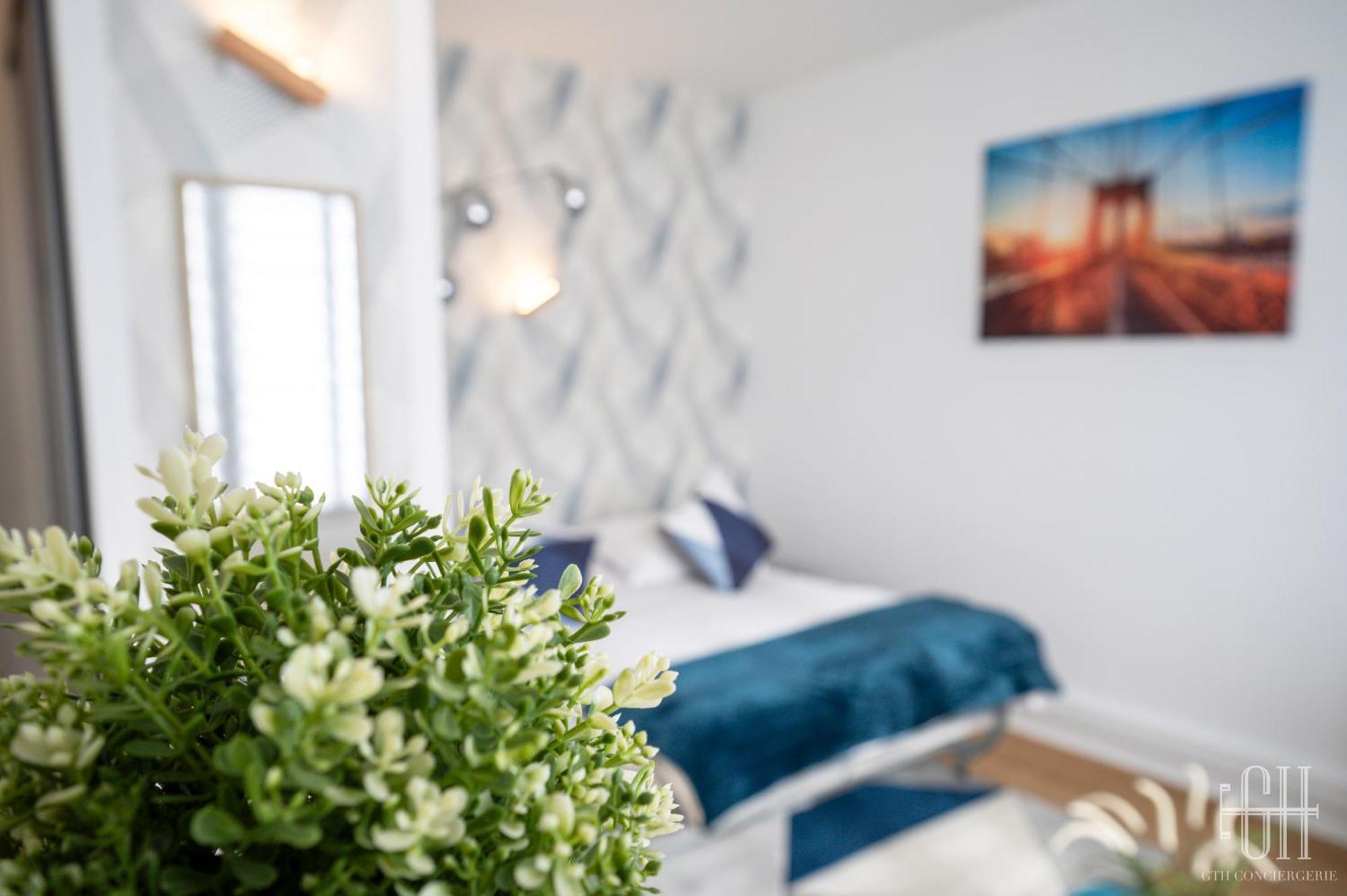 Nemesia - Proche Gare Apartment แซงต์-ปิแอร์-เดส์-กอร์ ภายนอก รูปภาพ